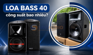 Loa bass 40 công suất bao nhiêu