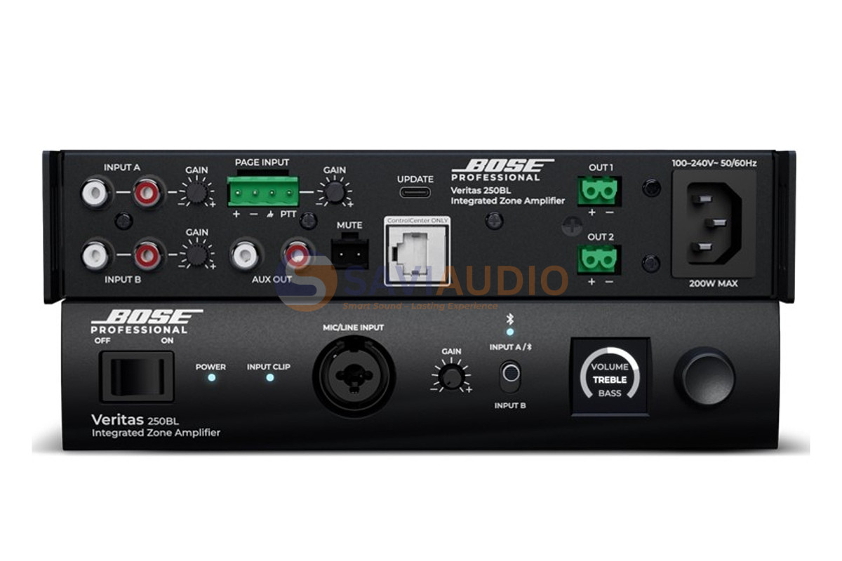 Bose Professional Veritas 250BL