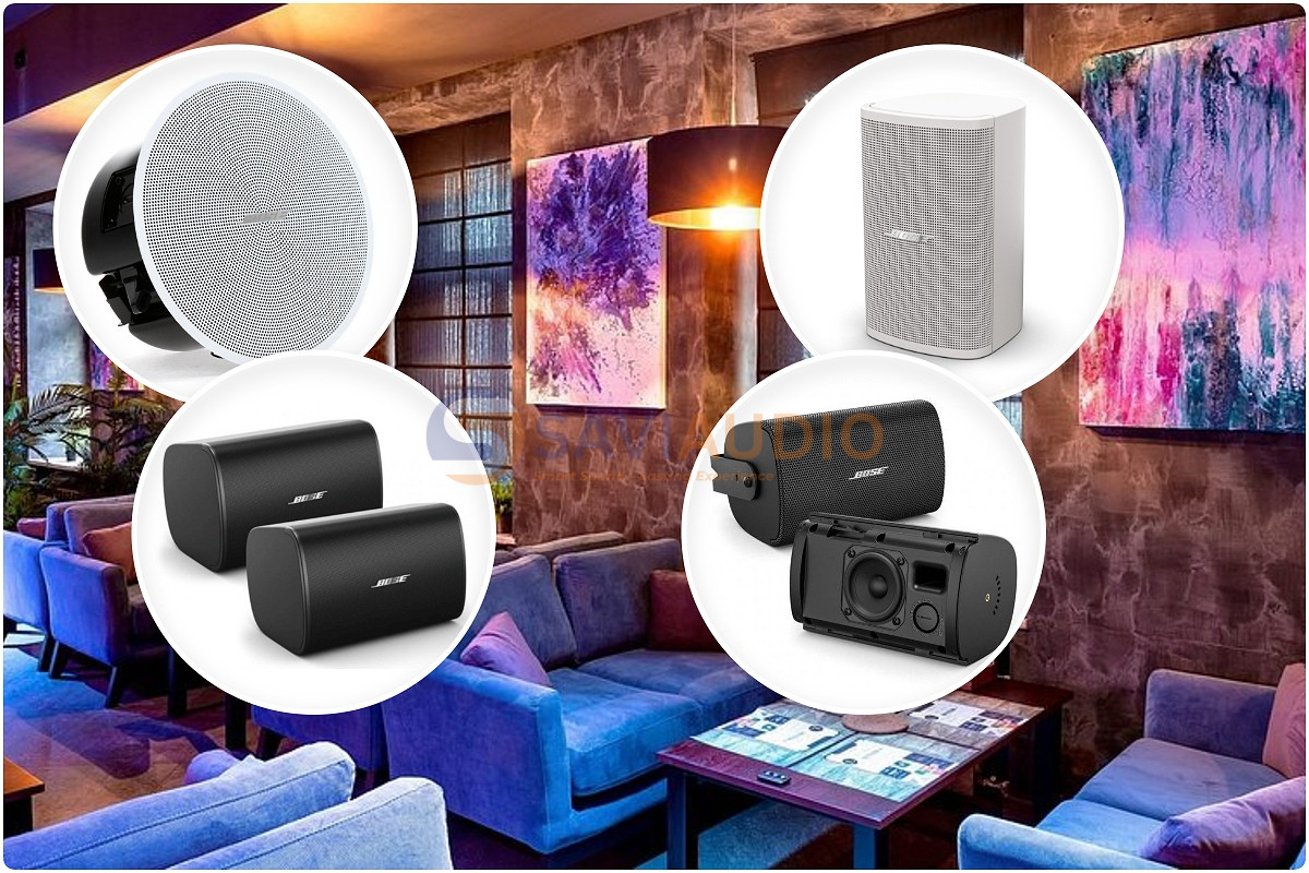Lounge cafe hoặc cafe cao cấp nên ưu tiên DesignMax và hệ thống xử lý âm thanh tốt hơn