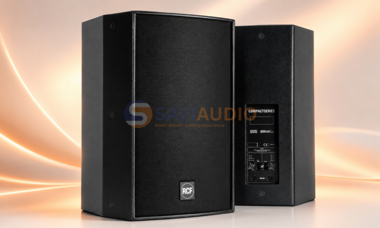 loa sân khấu 4 tấc