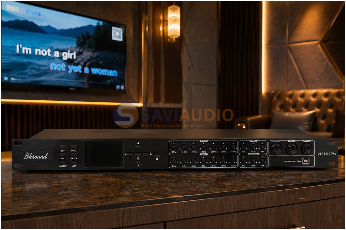 vang-so-karaoke-hay-nhat-hien-nay-saviaudio-gk1rvt79