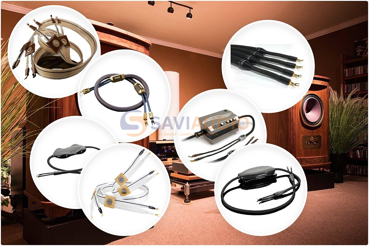 Tổng quan về dây loa đắt nhất Việt Nam và trên thế giới